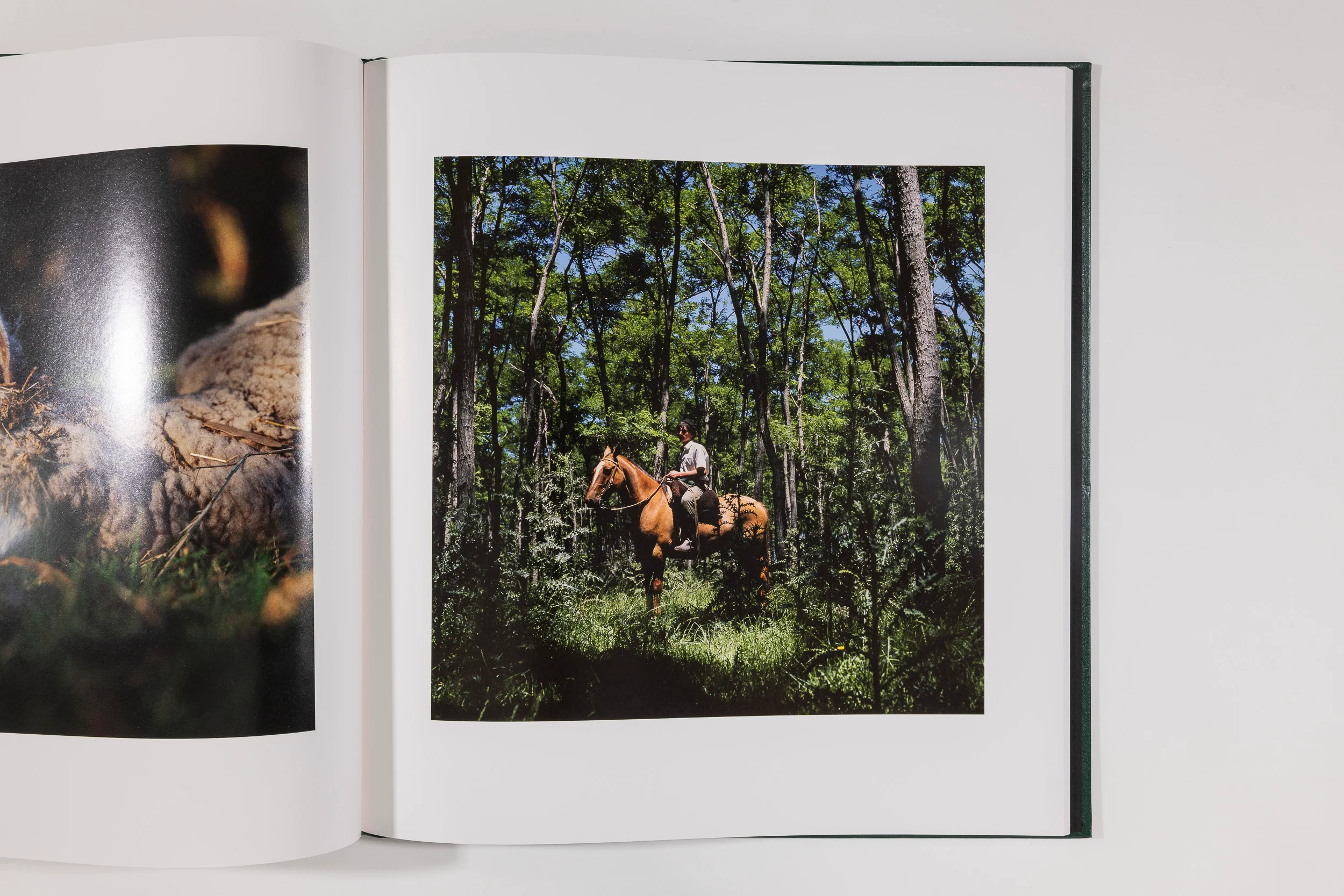 Alessandra Sanguinetti, On the Sixth Day - Image 10