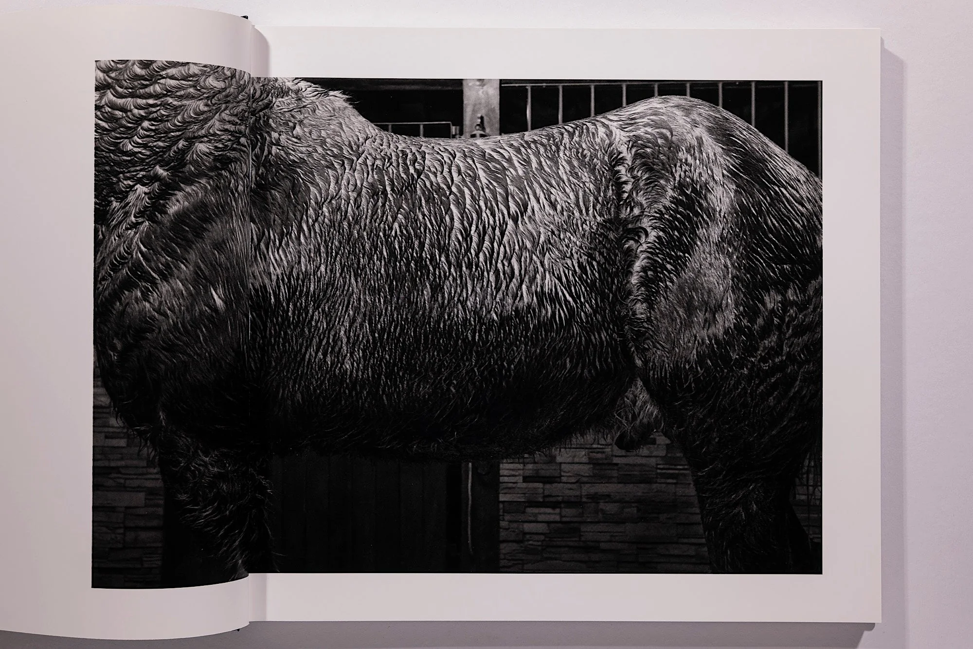 Alessandra Sanguinetti, Some Say Ice, Unsigned - Image 4