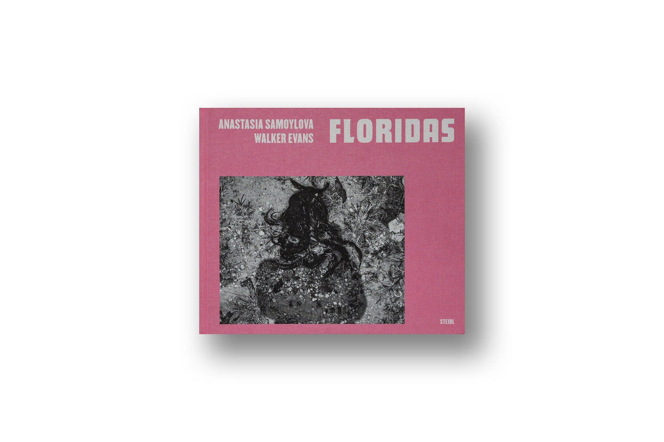 Anastasia Samoylova & Walker Evans: Floridas