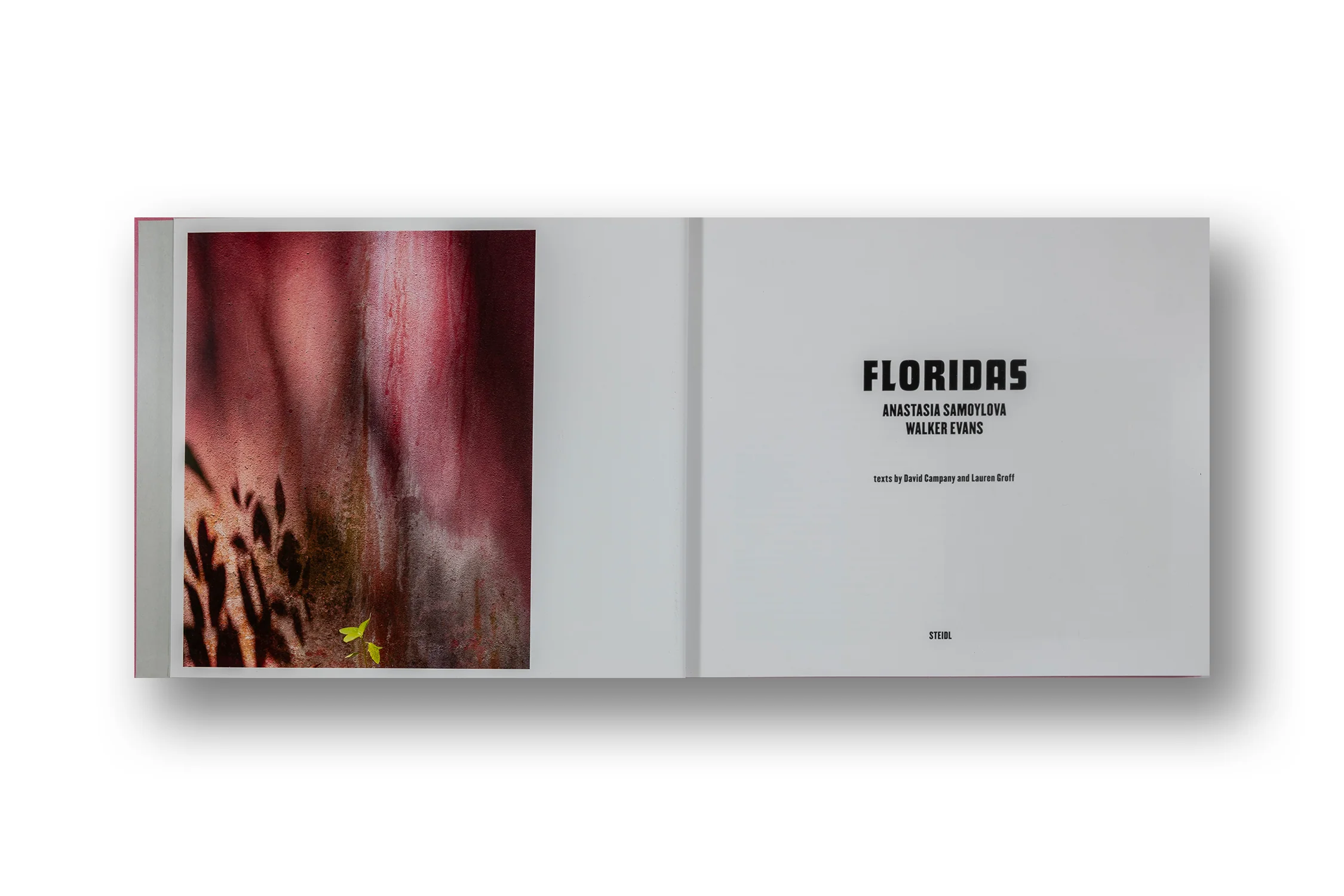 Anastasia Samoylova & Walker Evans: Floridas - Image 3