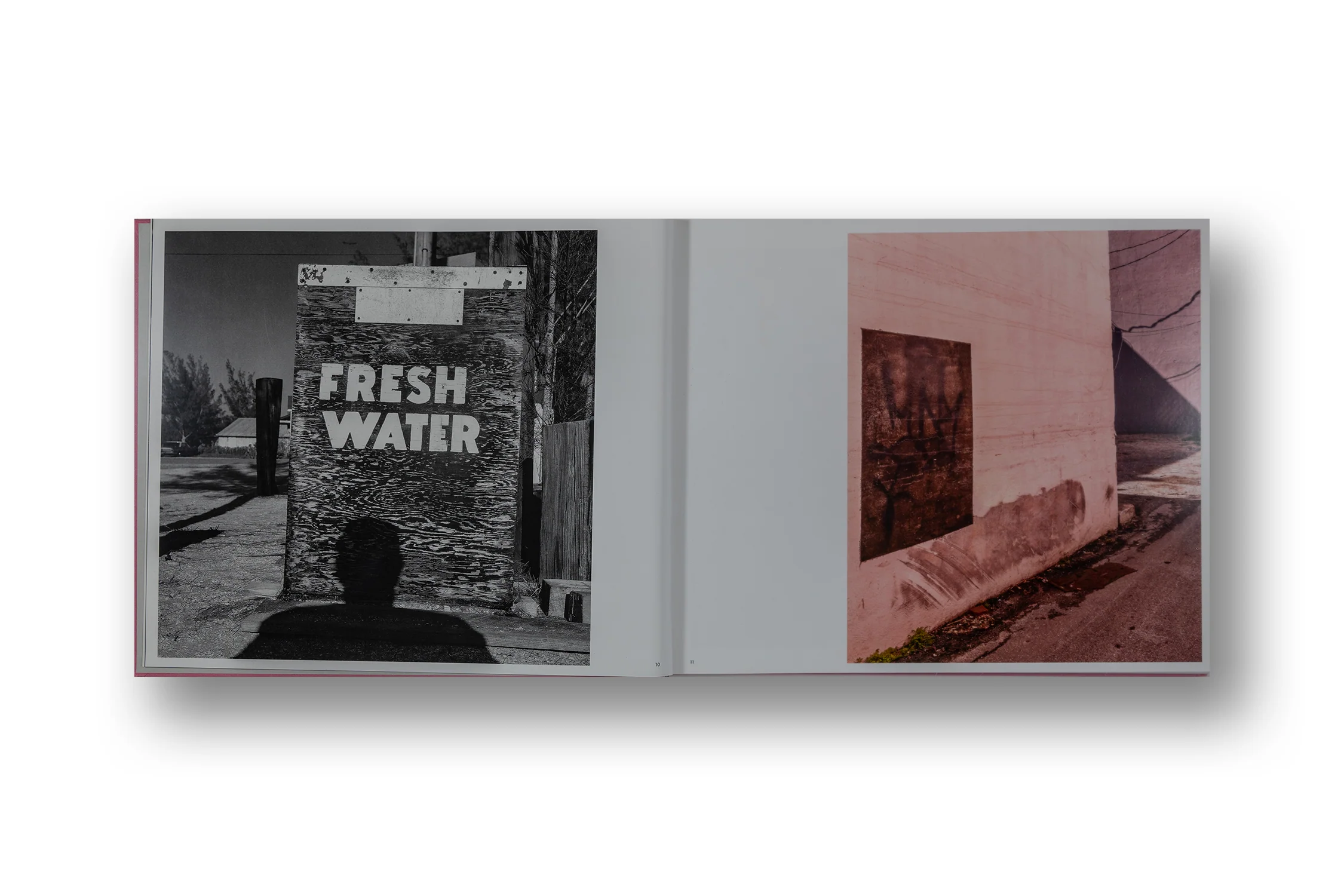 Anastasia Samoylova & Walker Evans: Floridas - Image 4