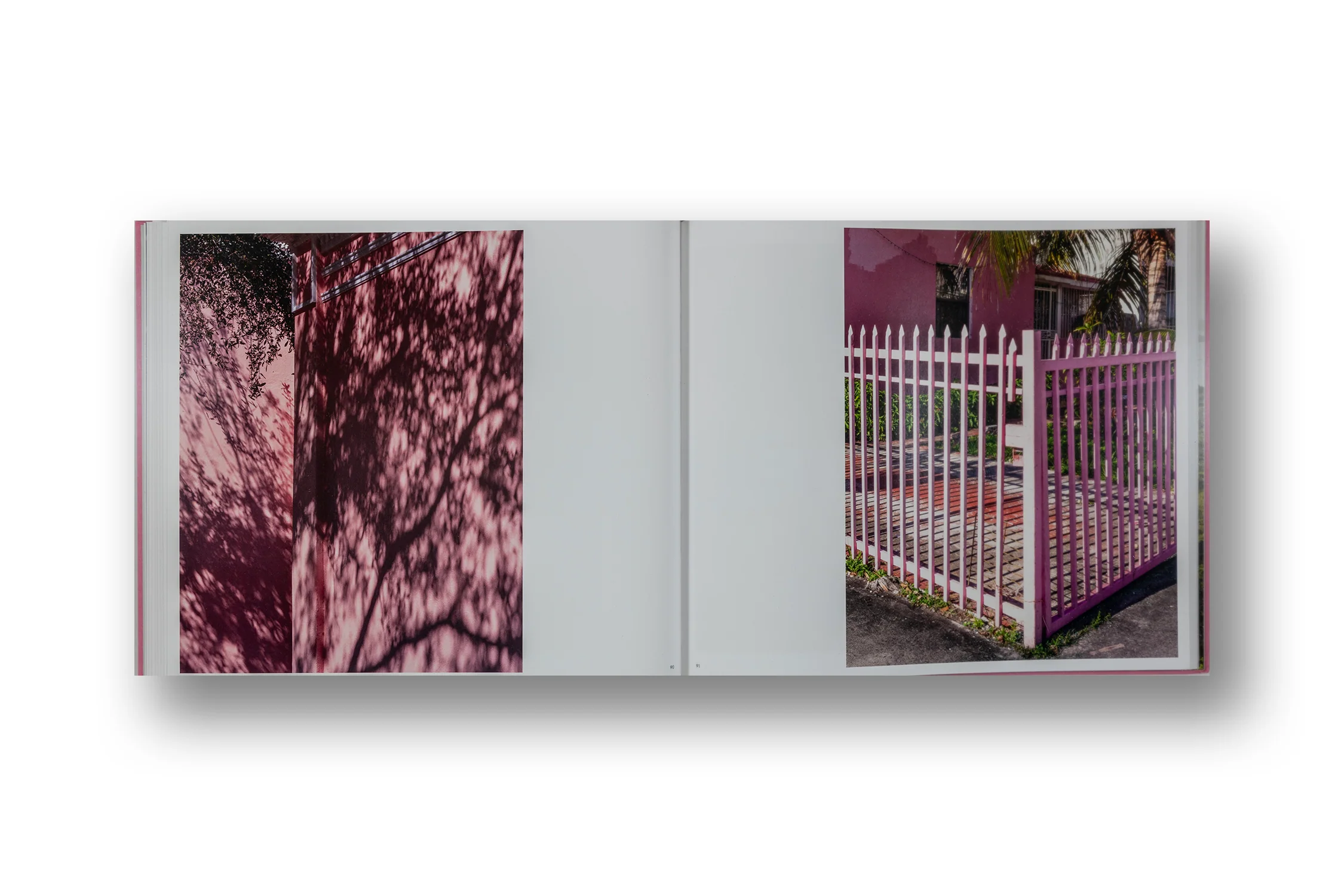 Anastasia Samoylova & Walker Evans: Floridas - Image 9