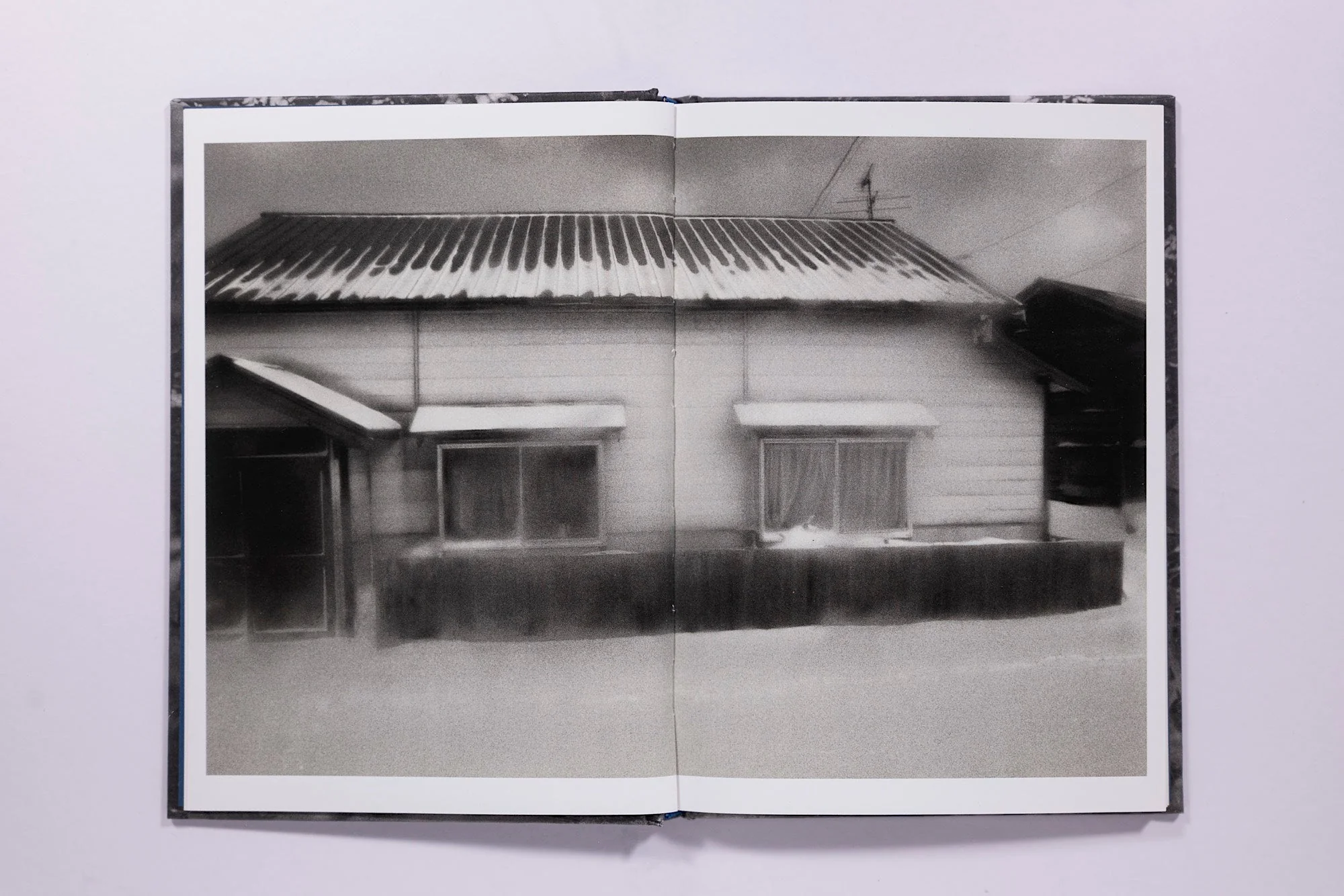 Asako Shimazaki, Ayu No Kaze - Image 5