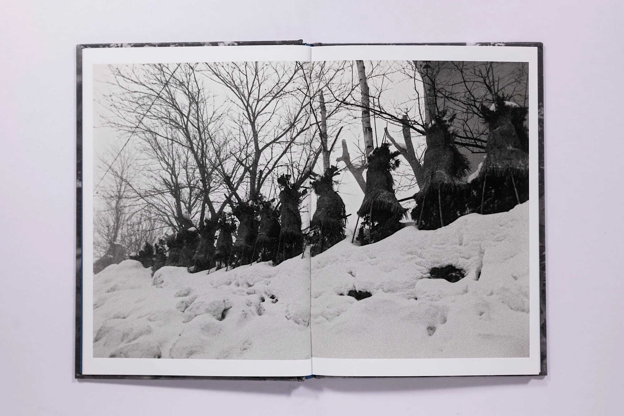 Asako Shimazaki, Ayu No Kaze - Image 6