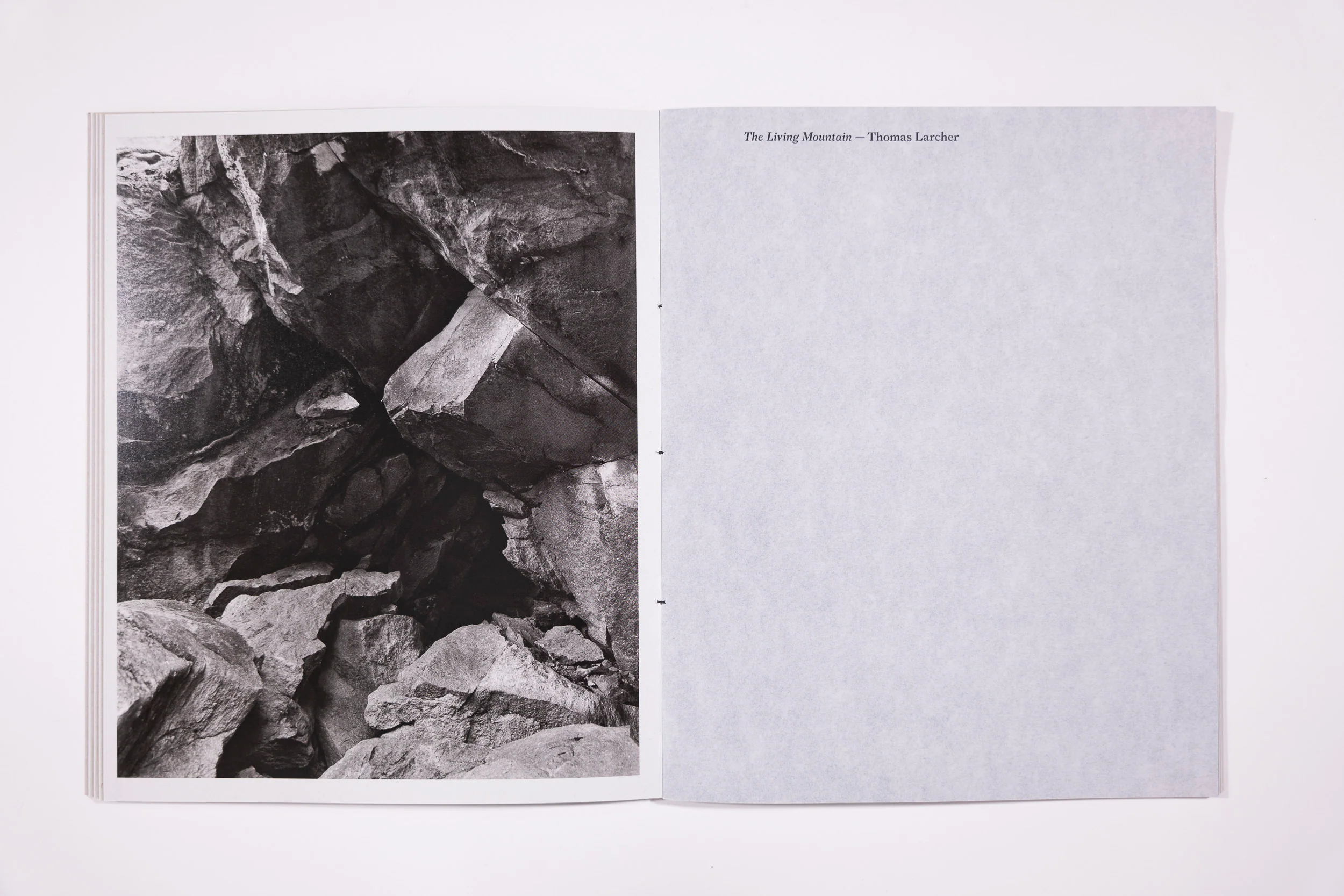 Awoiska Van Der Molen, The Living - Image 5