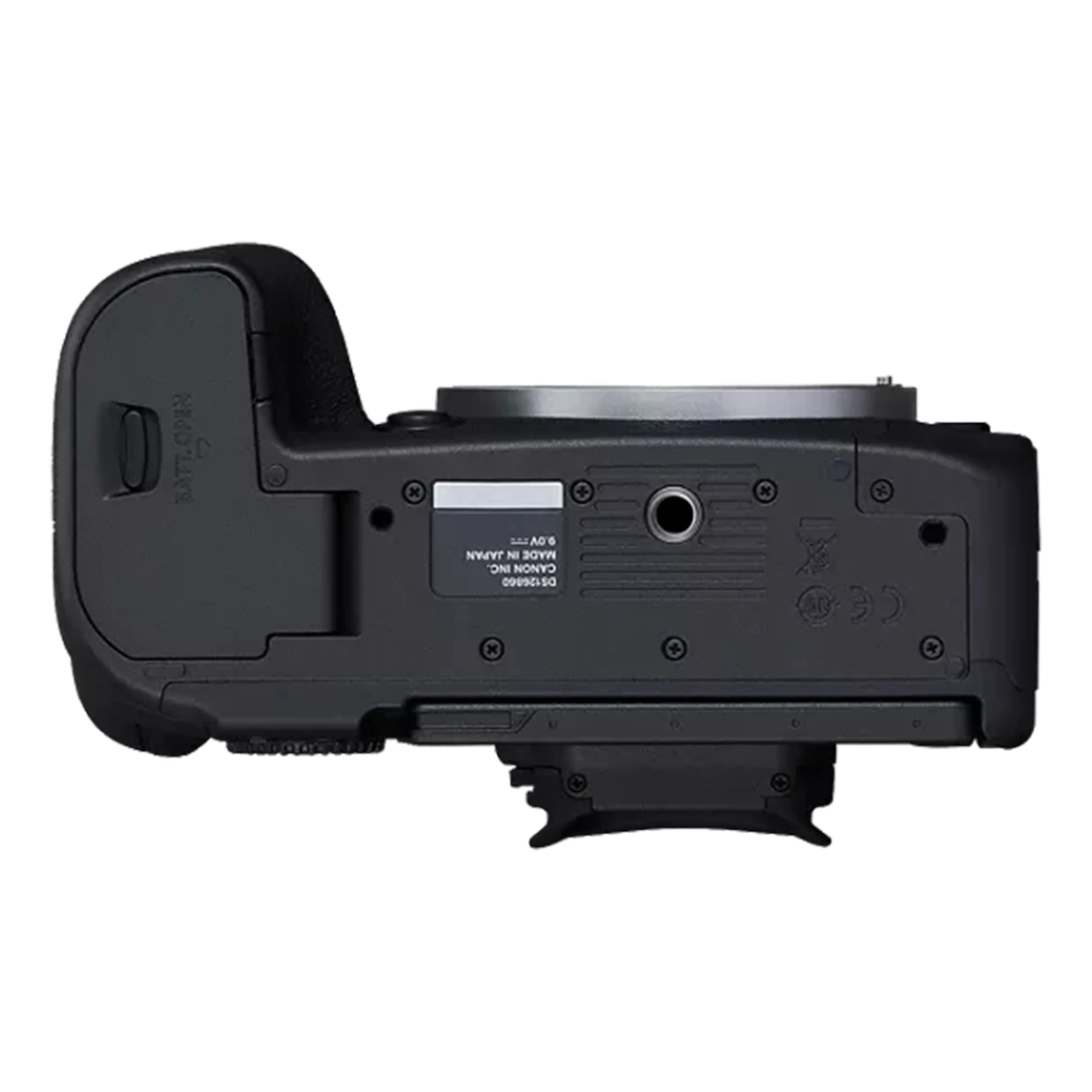 Canon R6 Mark II w/ 24-105mm STM - Image 11