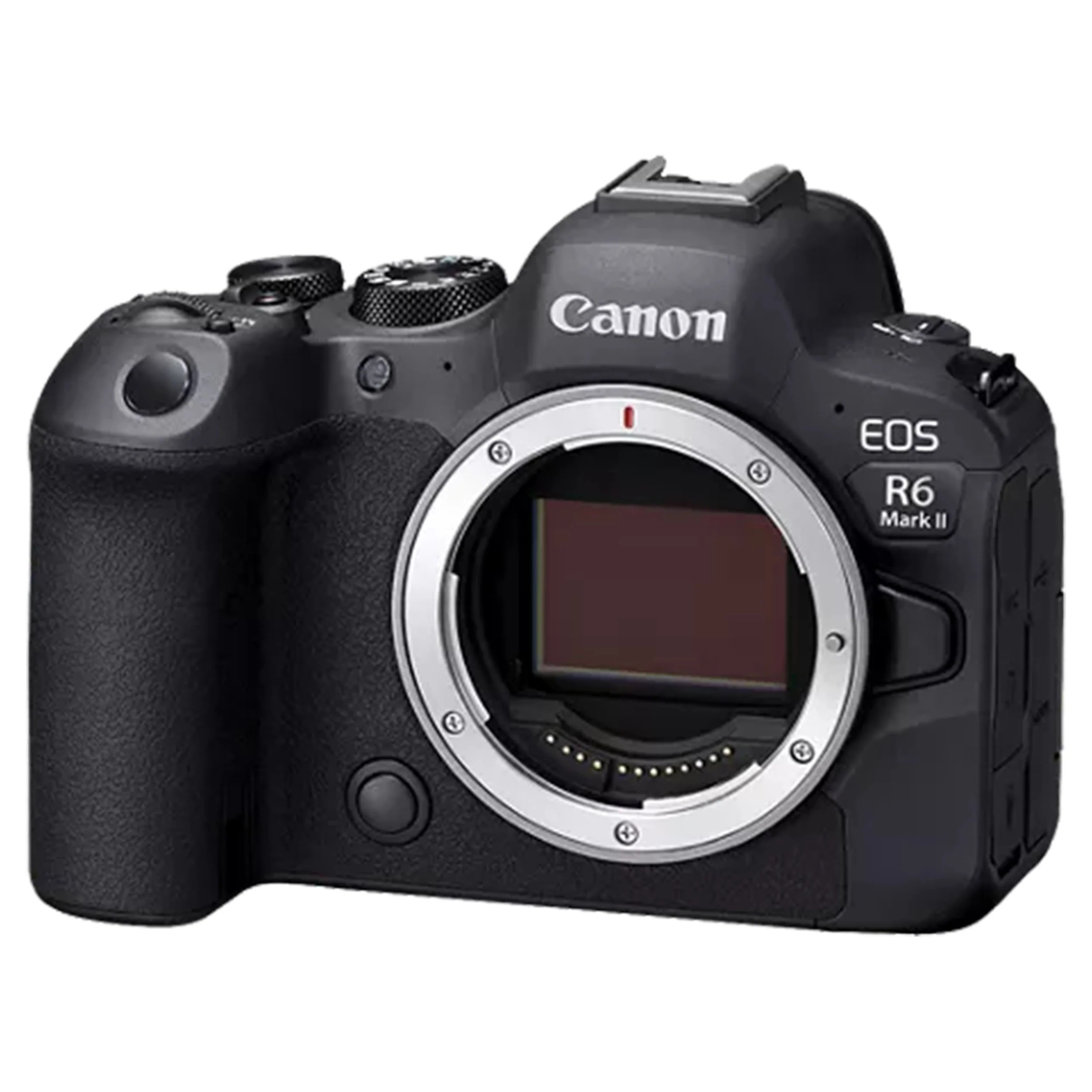 Canon R6 Mark II w/ 24-105mm STM - Image 3