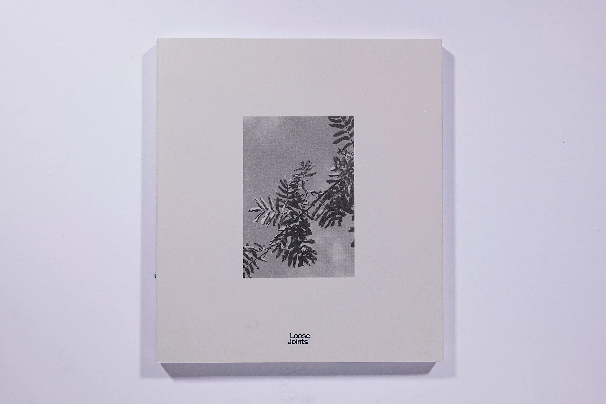 Felicia Honkasalo - Grey Cobalt - Image 6