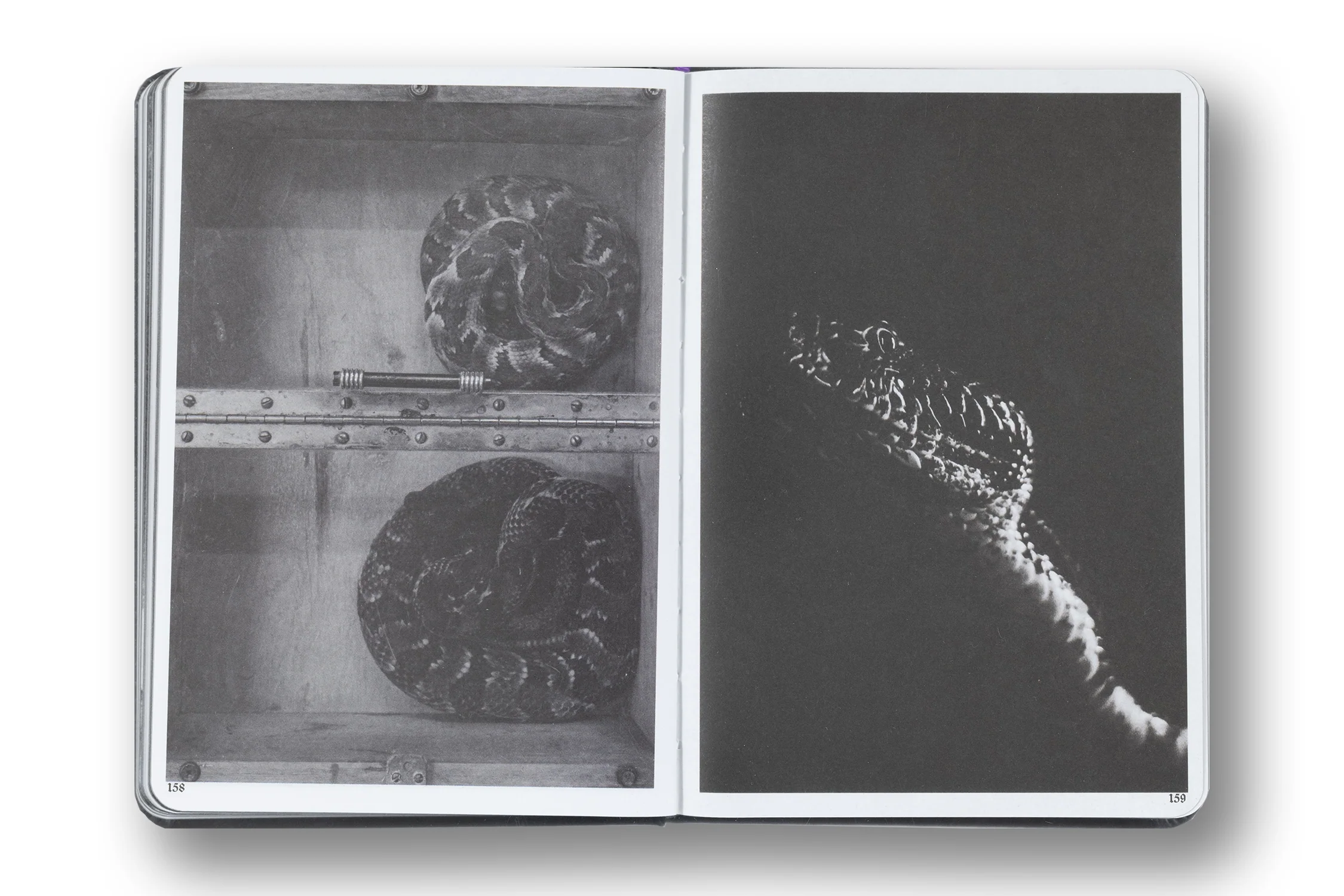 Gloryland, Robert Le Blanc, Setanta Ed. - Image 11