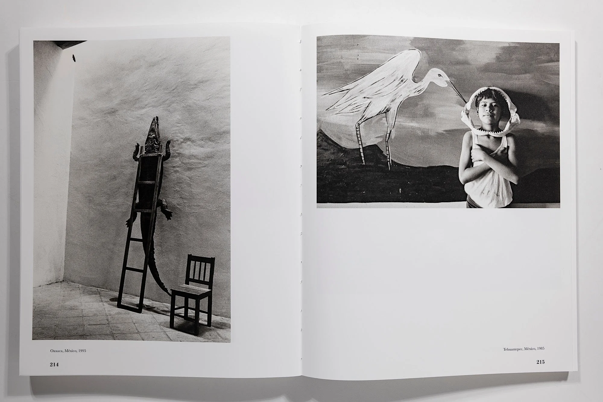 Graciela Iturbide: Heliotropo 37 - Image 11
