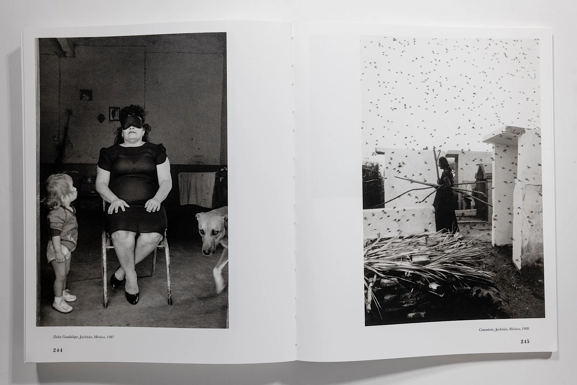 Graciela Iturbide: Heliotropo 37 - Image 12