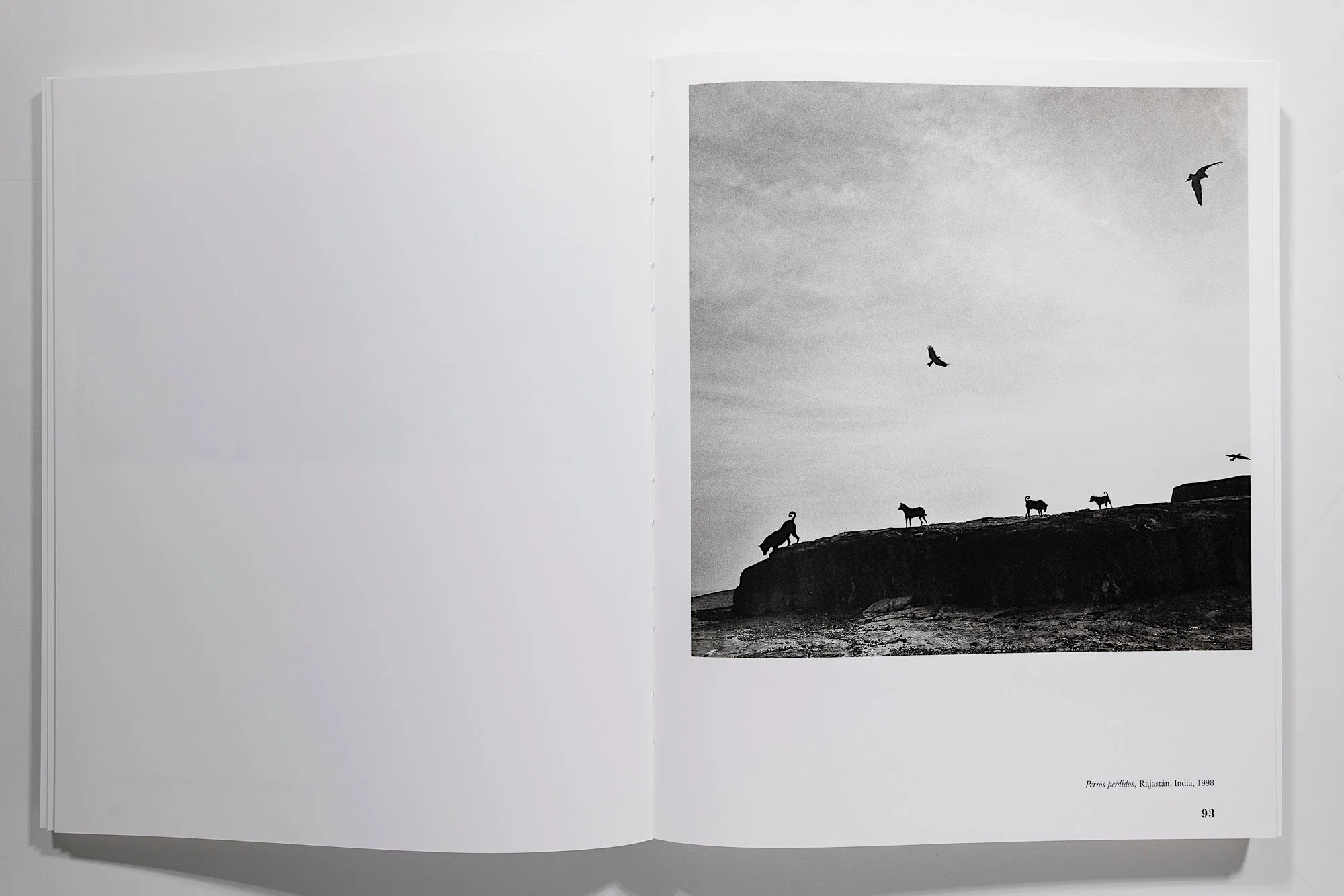 Graciela Iturbide: Heliotropo 37 - Image 7