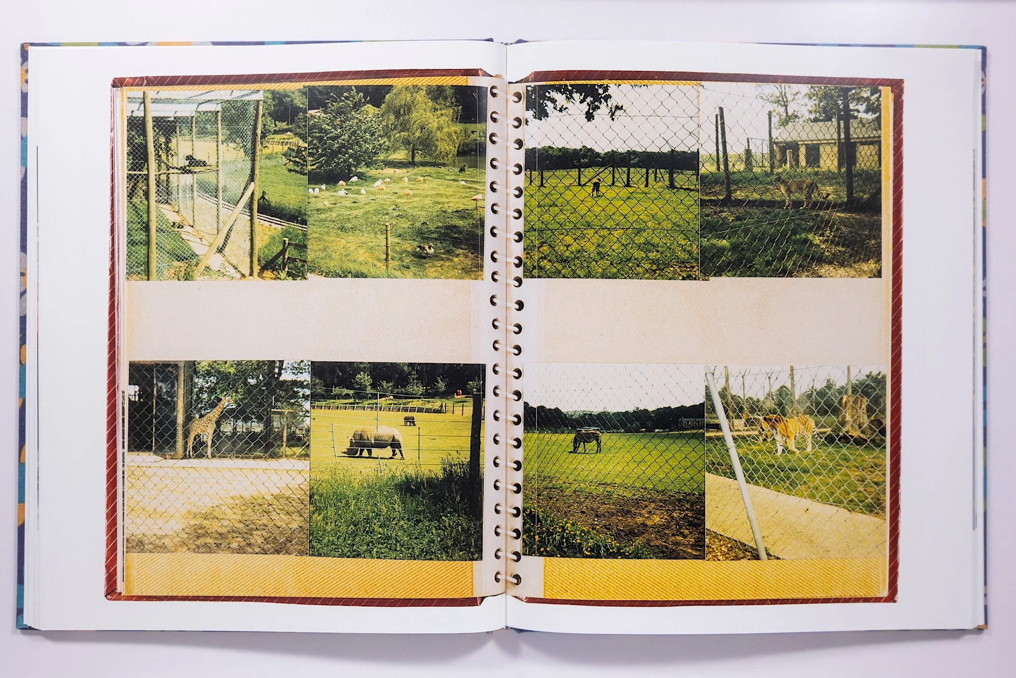 Julian Germain, For every minute you are angry you lose sixty seconds of happiness (Third Edition) - Image 12