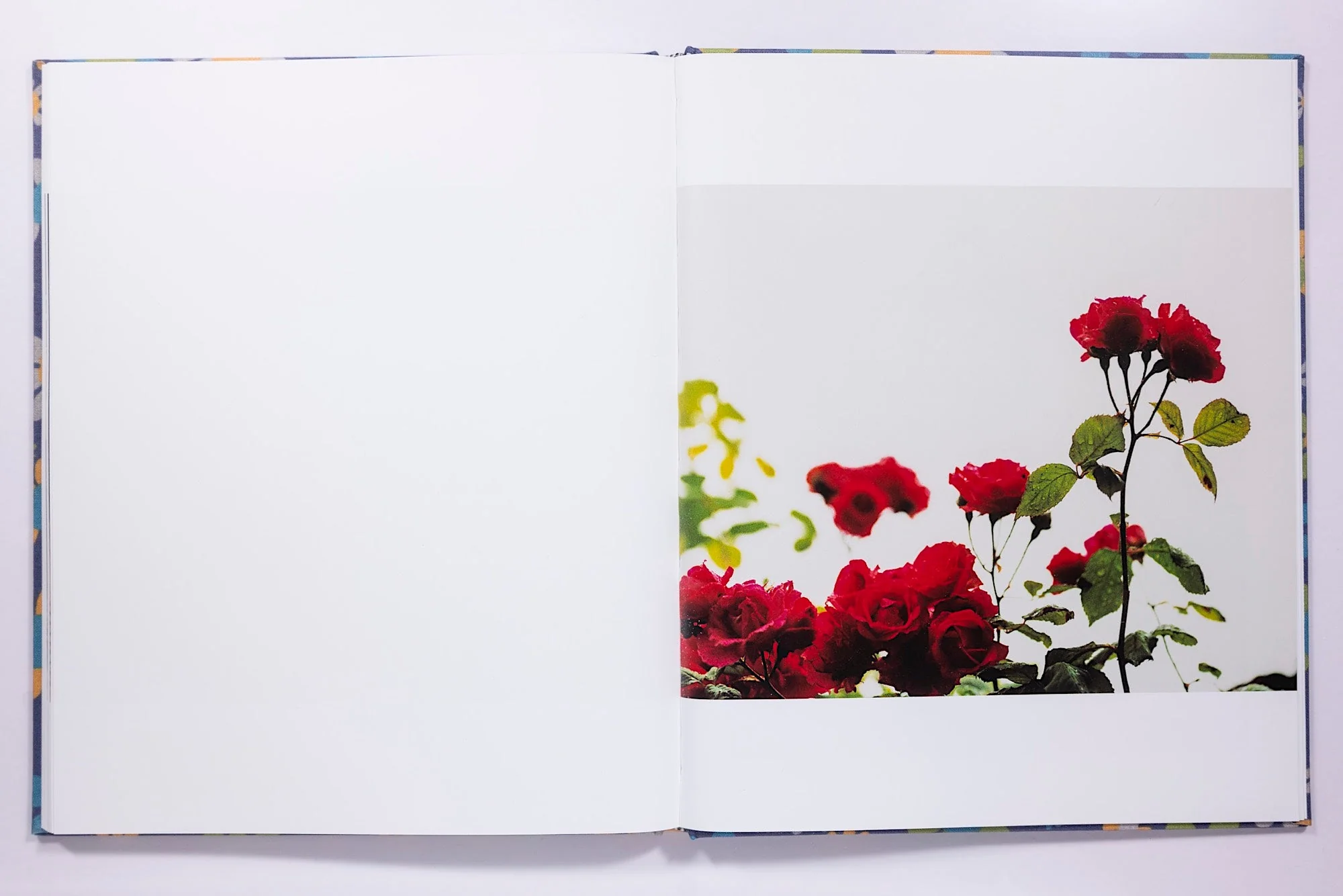 Julian Germain, For every minute you are angry you lose sixty seconds of happiness (Third Edition) - Image 15