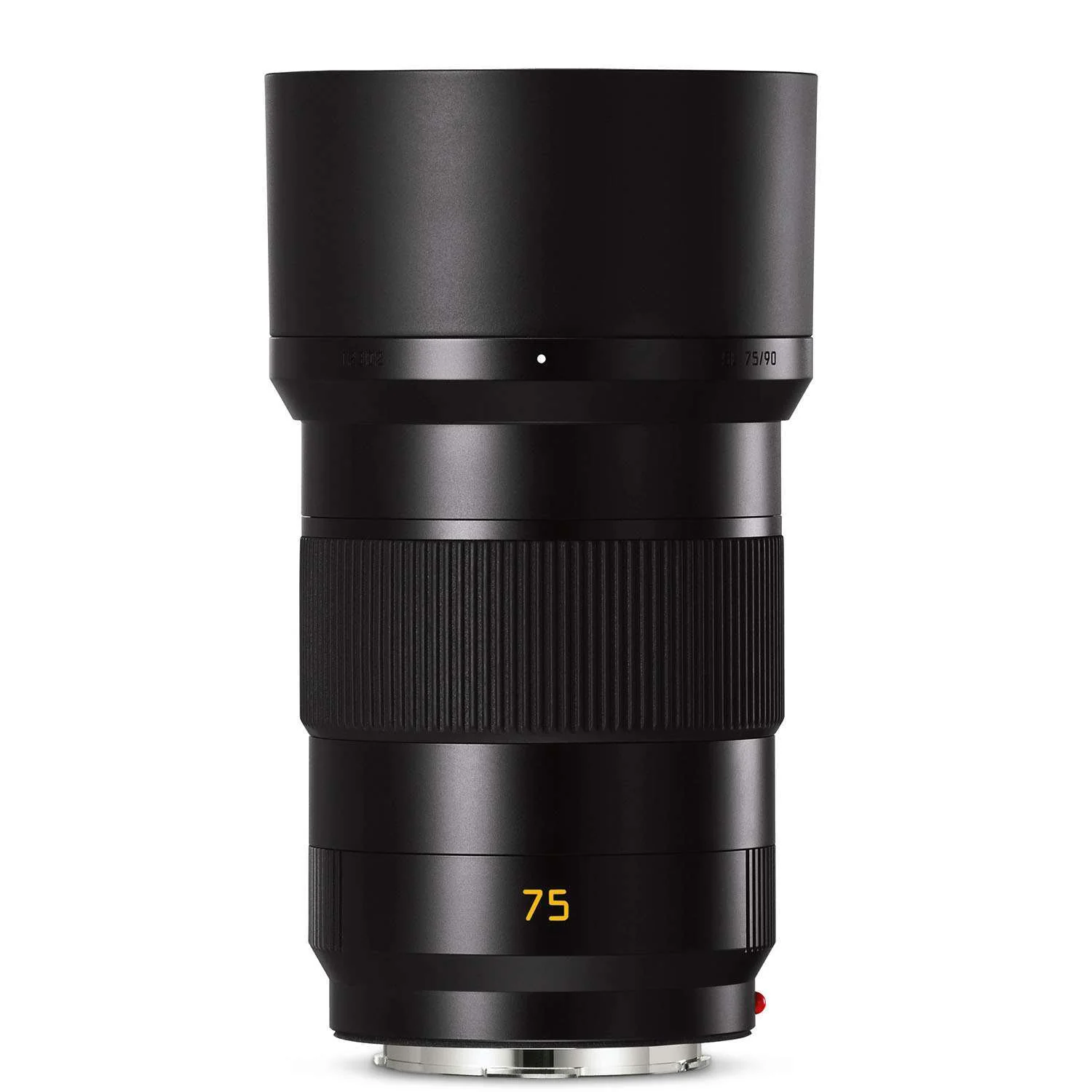 Leica SL 75mm f2.0 APO-Summicron - Image 5