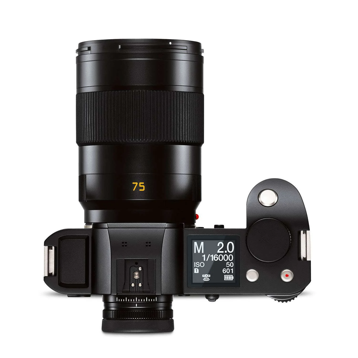 Leica SL 75mm f2.0 APO-Summicron - Image 6