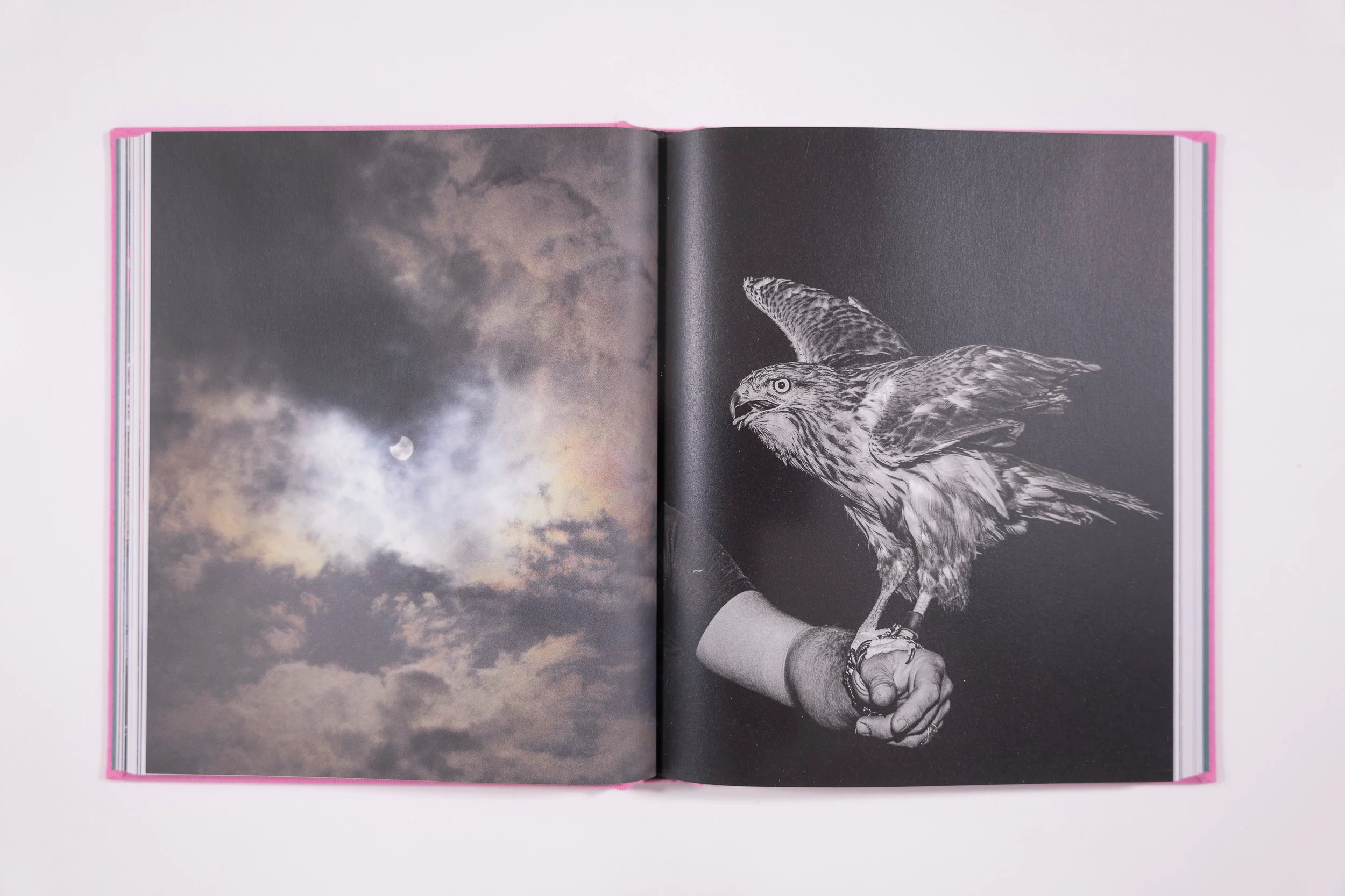 Myriam Boulos, What's Ours - Image 9