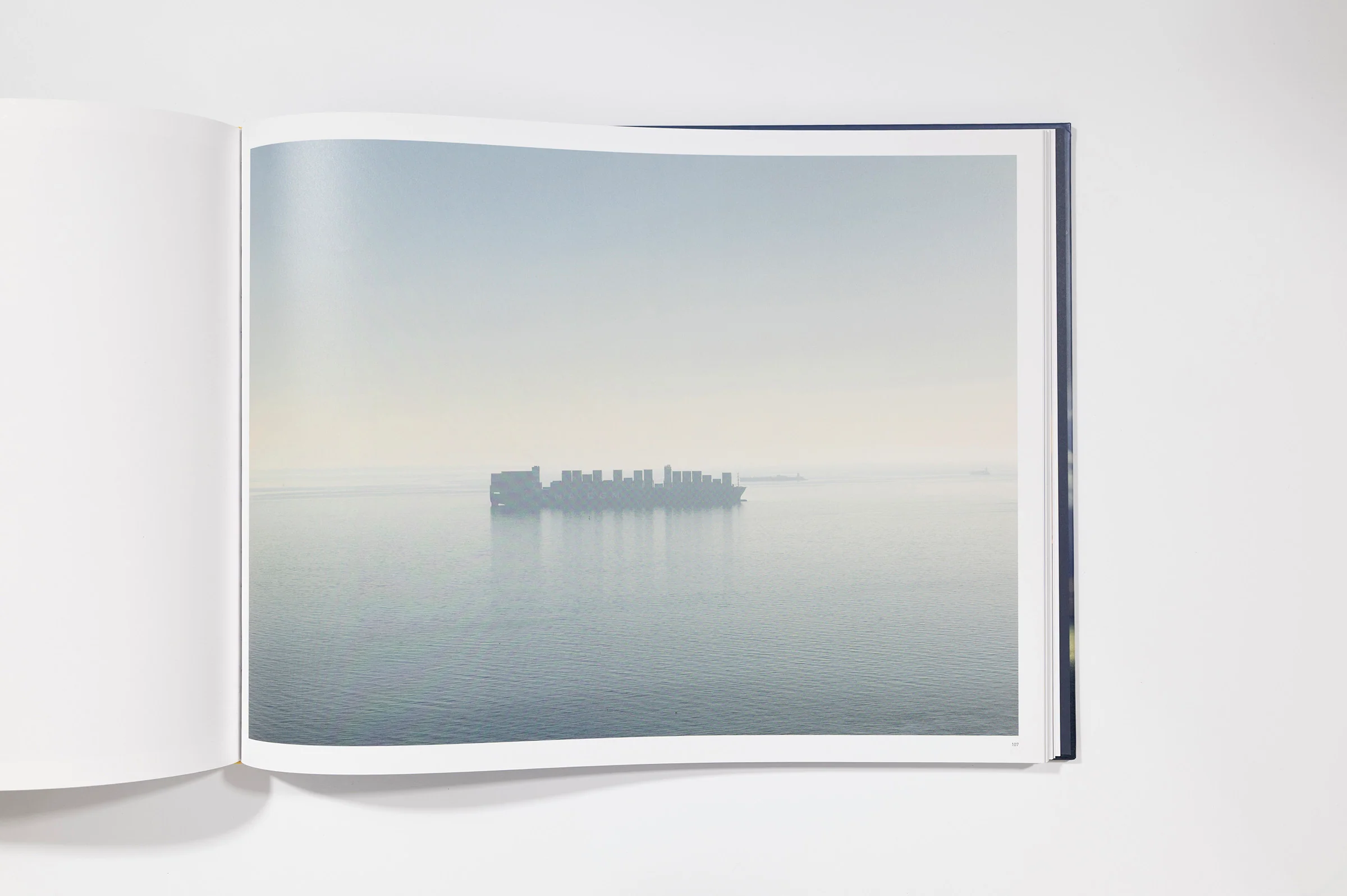 Richard Misrach: Cargo - Image 7