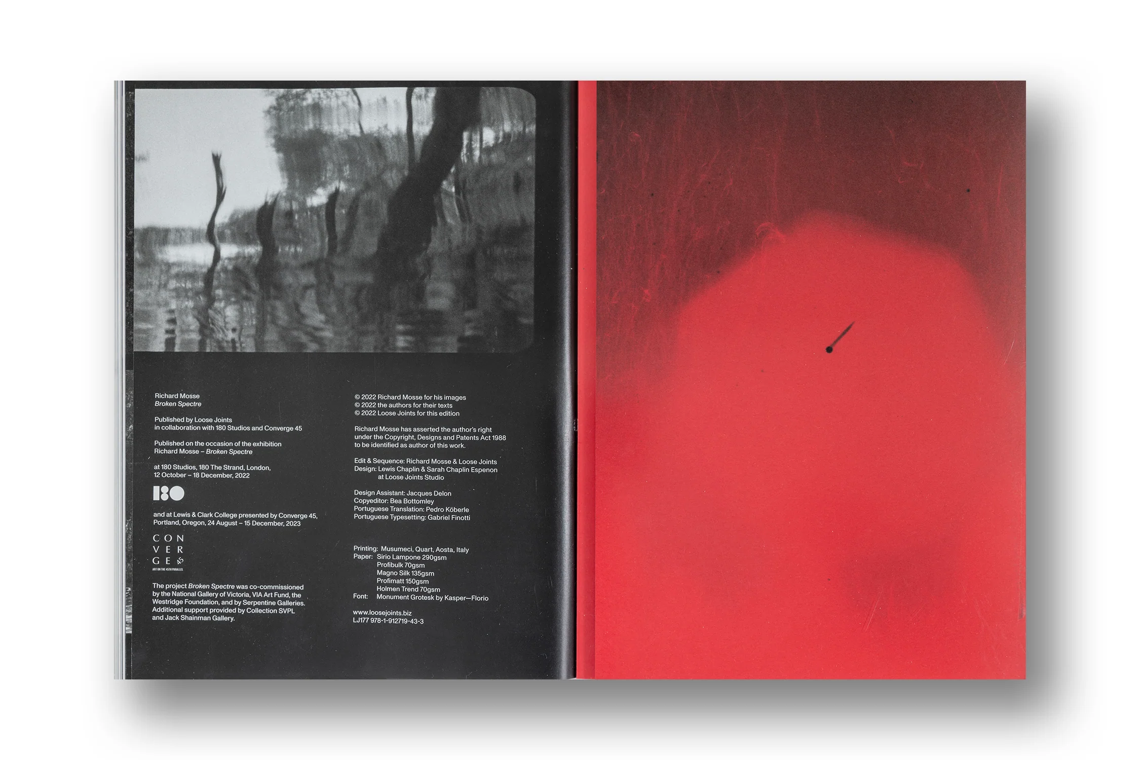 Richard Mosse, Broken Spectre - Image 12