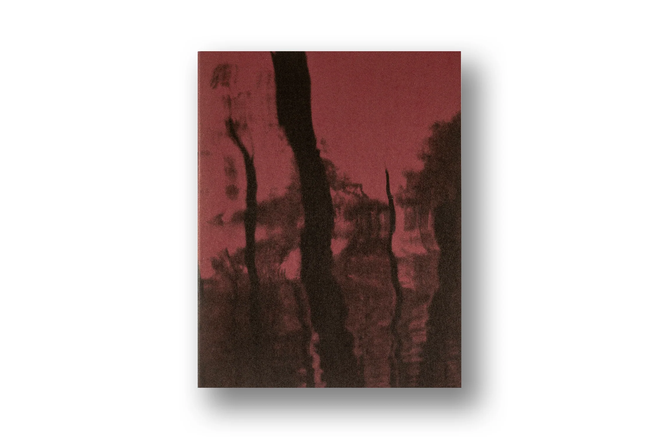 Richard Mosse, Broken Spectre - Image 13