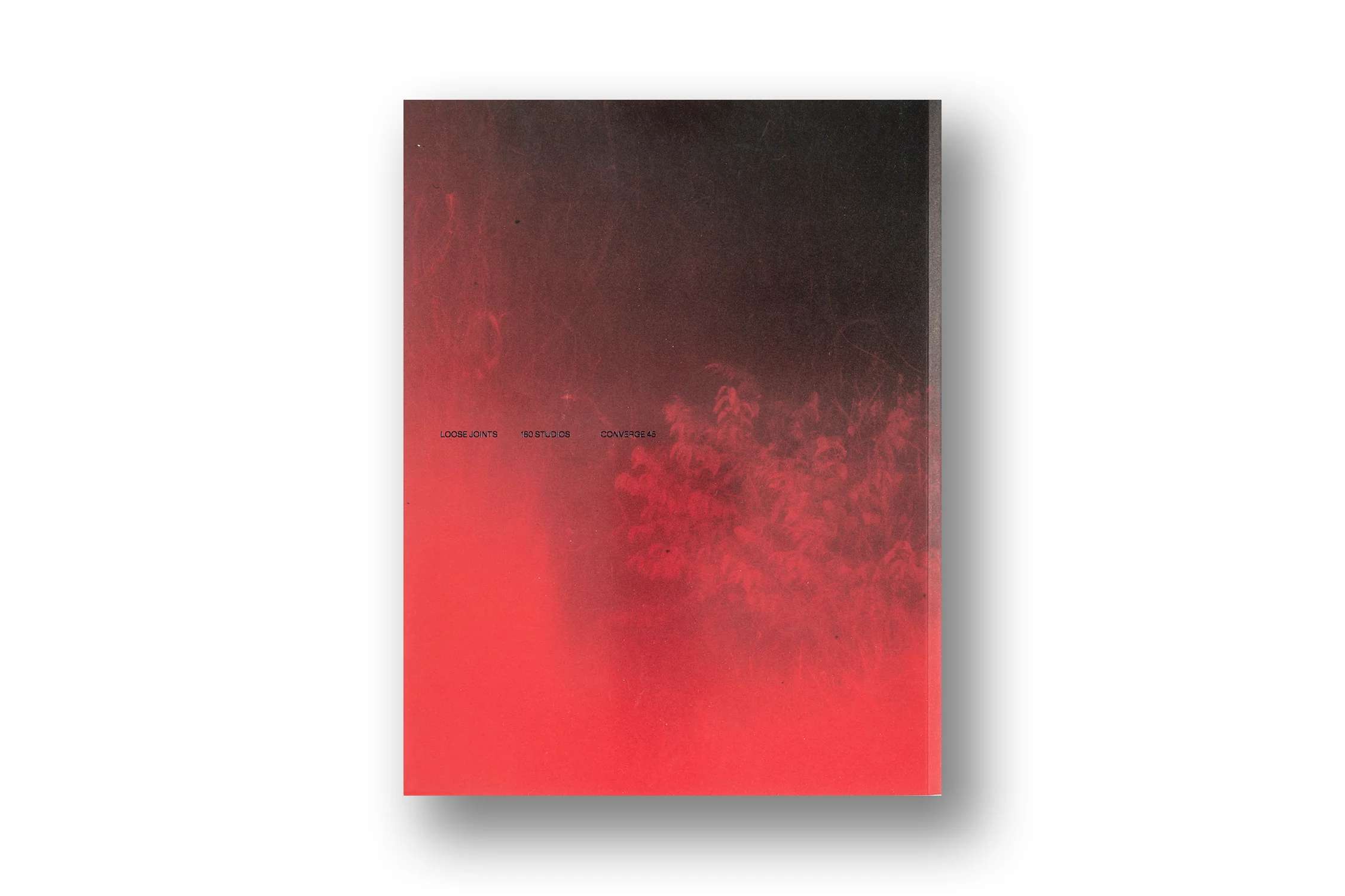 Richard Mosse, Broken Spectre - Image 15