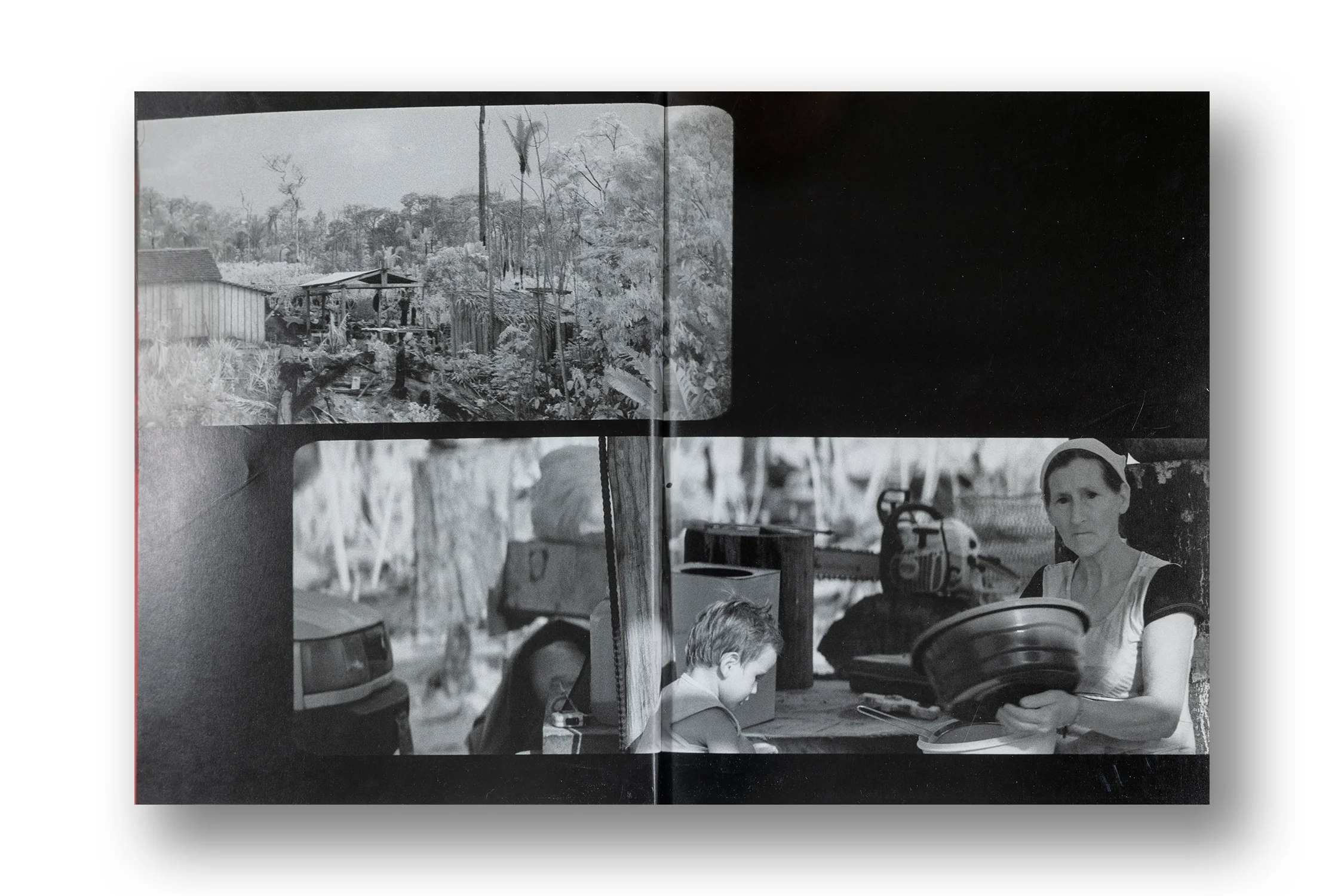 Richard Mosse, Broken Spectre - Image 3