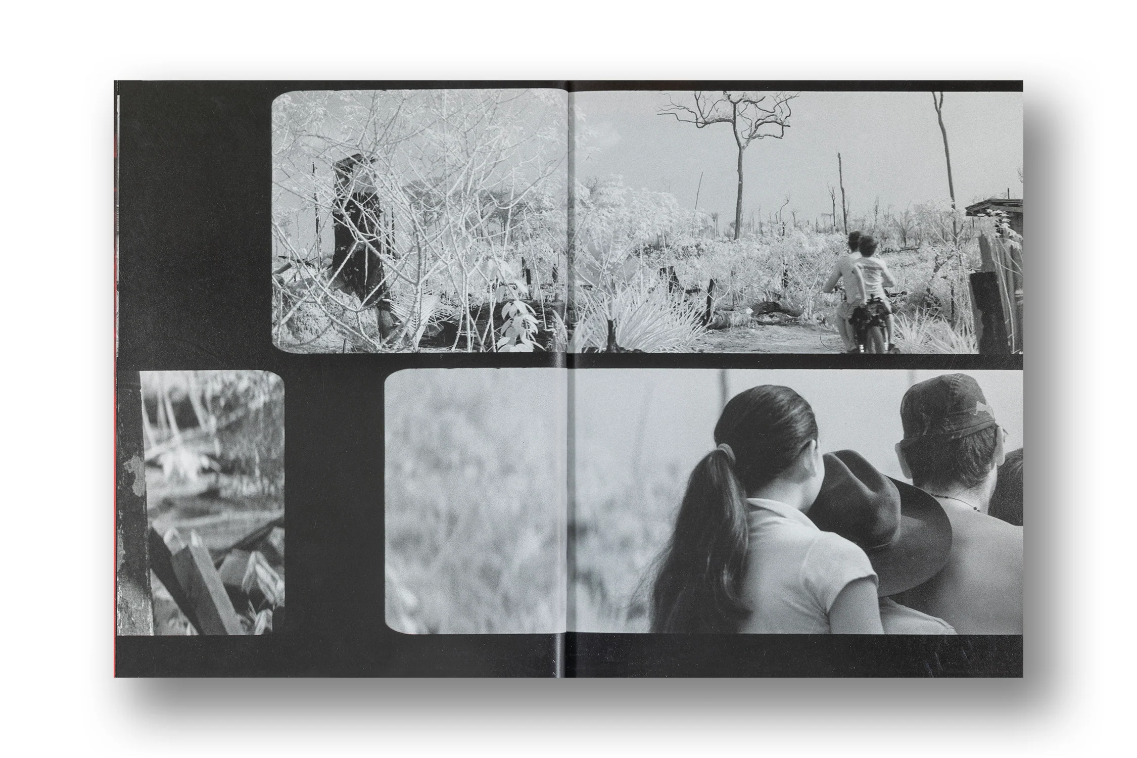 Richard Mosse, Broken Spectre - Image 4