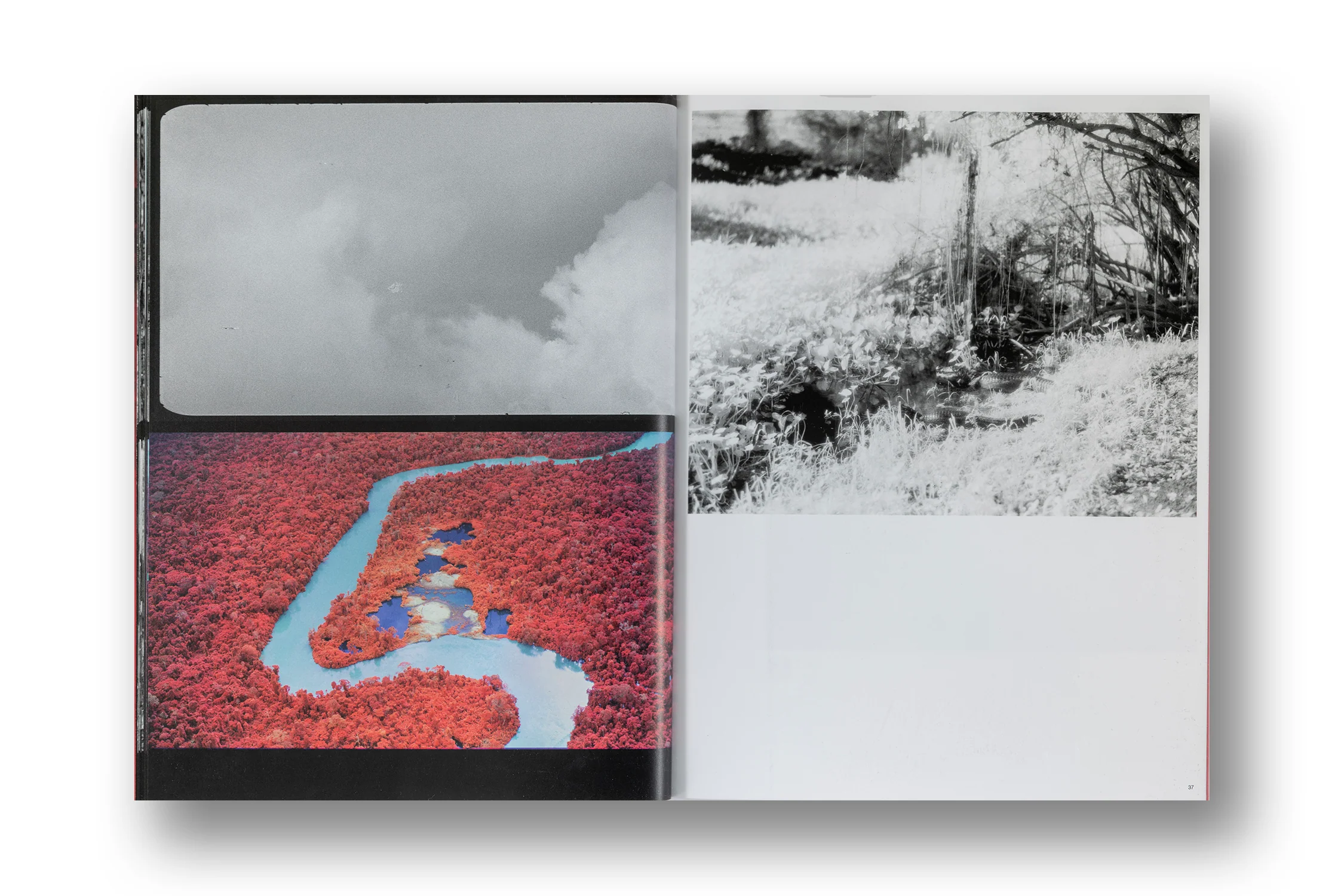 Richard Mosse, Broken Spectre - Image 5