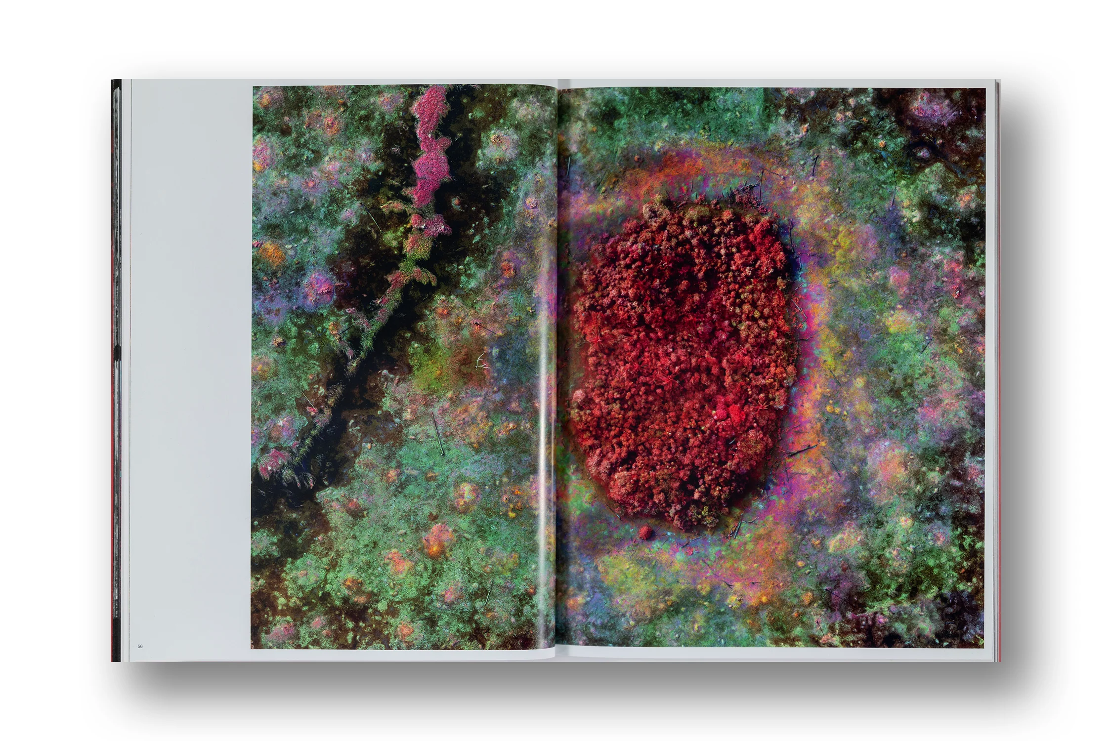 Richard Mosse, Broken Spectre - Image 7