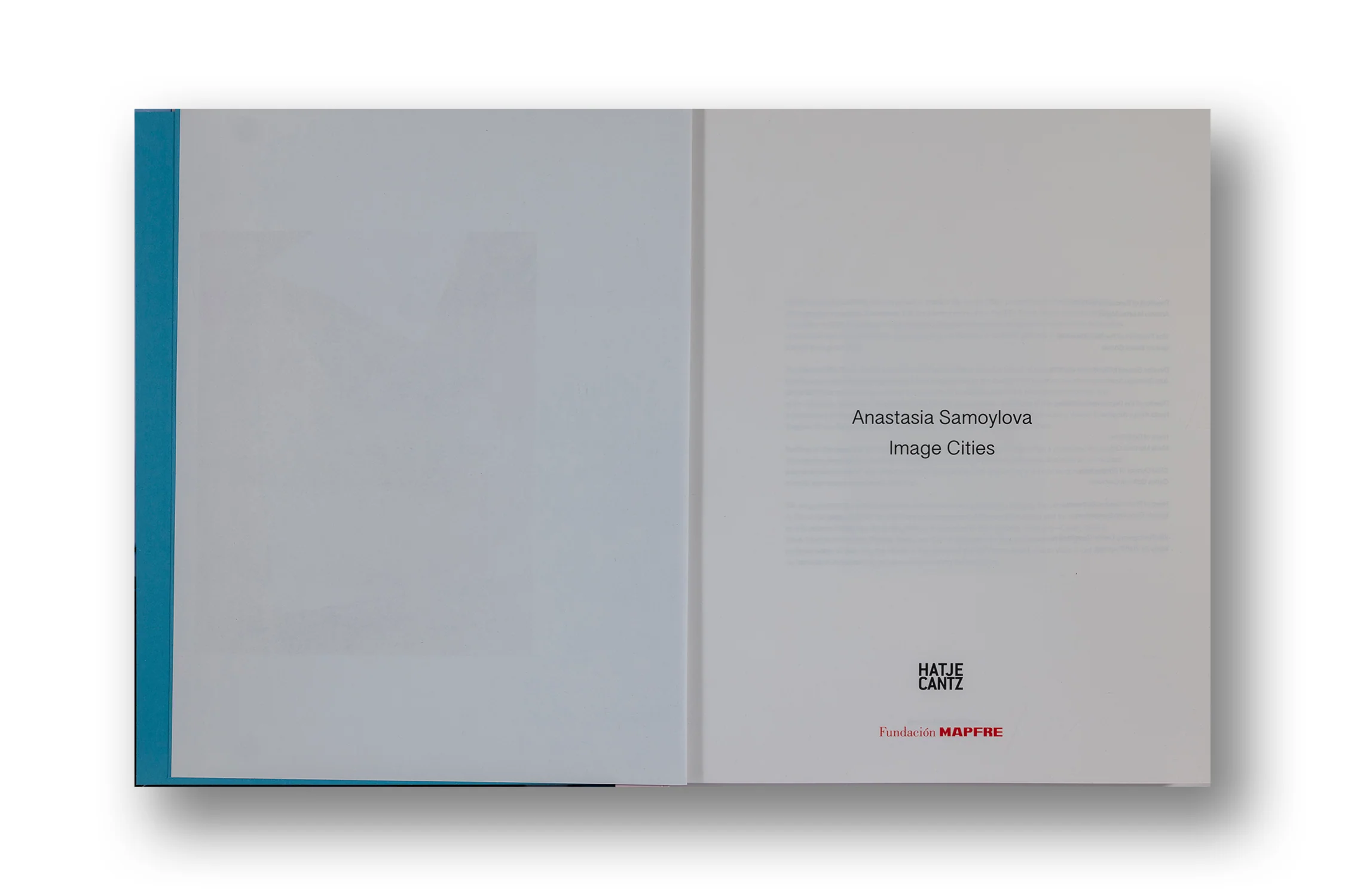 SHopifyAnastasia Samoylova, Image Cities - Image 3