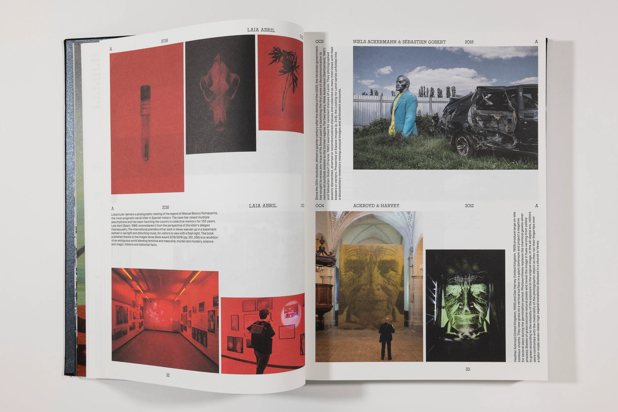 The Book of Images - A Dictionary of Visual Experiences - Image 4