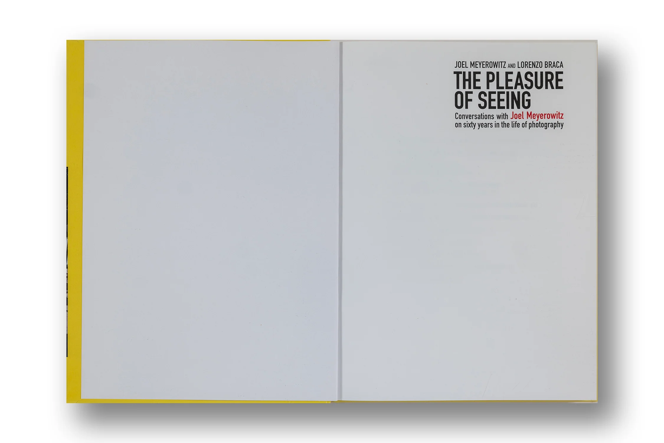 The Pleasure of Seeing - Image 2