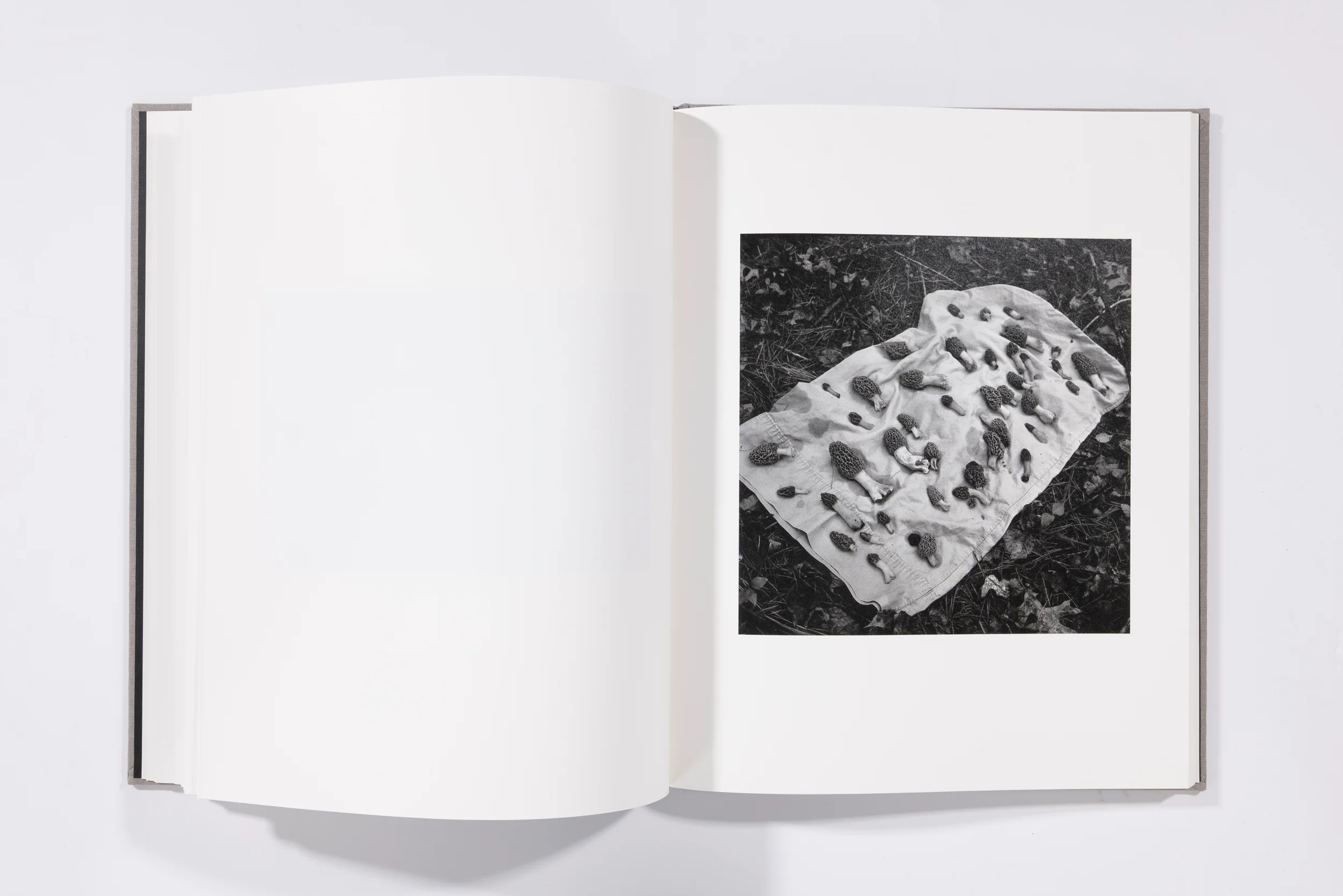 The Seraphim - Jesse Lenz - Image 10