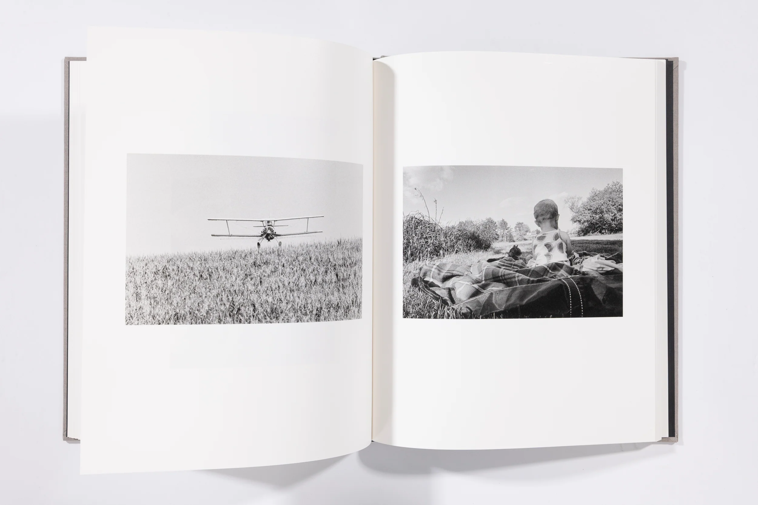 The Seraphim - Jesse Lenz - Image 12