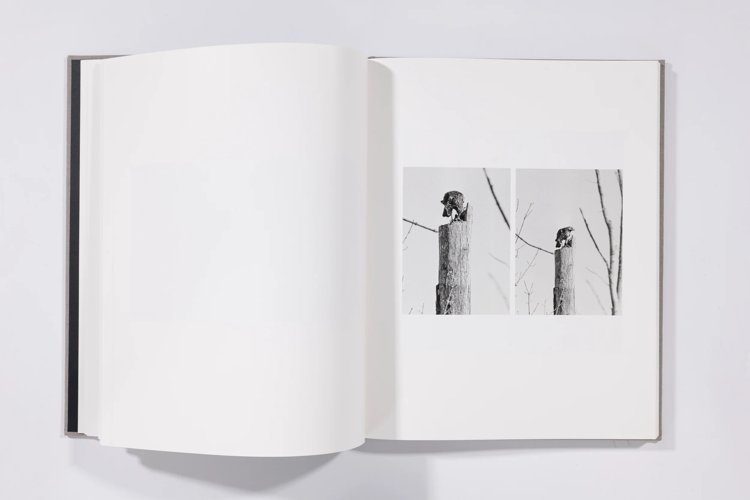 The Seraphim - Jesse Lenz - Image 6