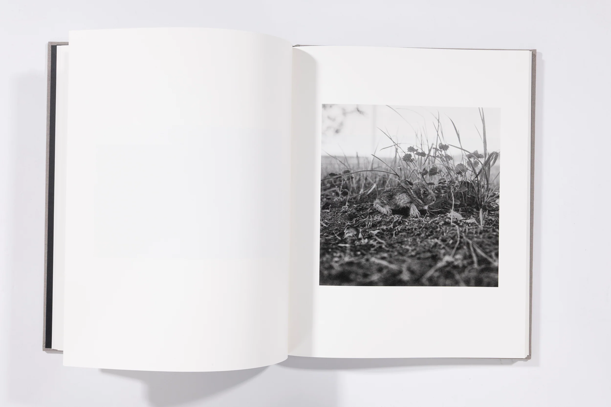 The Seraphim - Jesse Lenz - Image 8