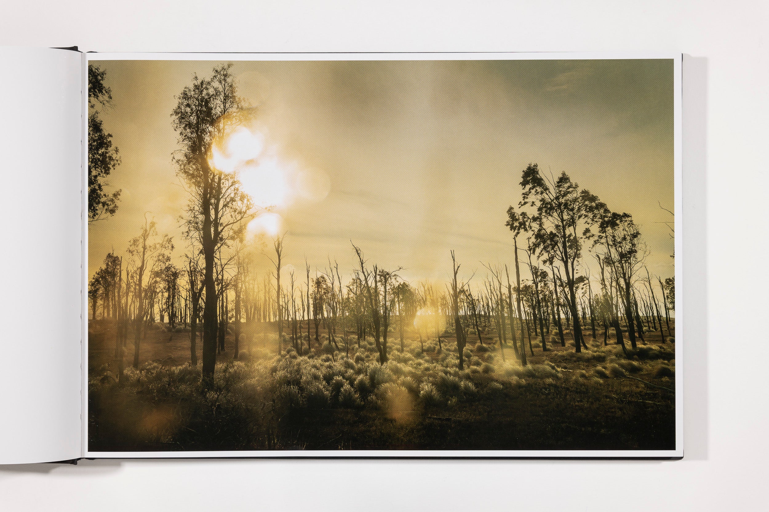 Todd Hido: The End Sends Advance Warning - Image 4