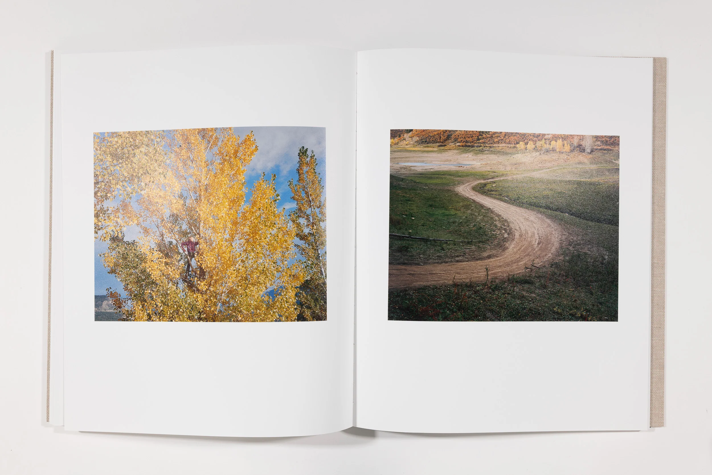 Trent Davis Bailey, The North Fork - Image 12