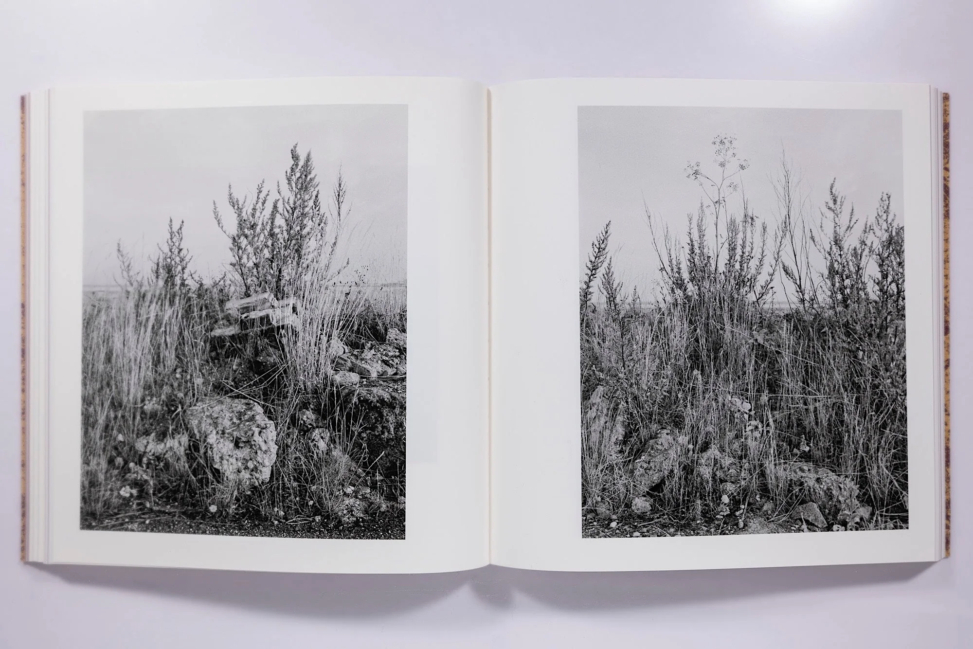 And Time Folds Vanessa Winship - Image 10
